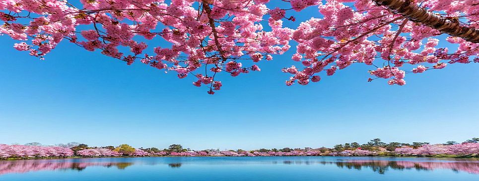 Janets Picture Inspirations 